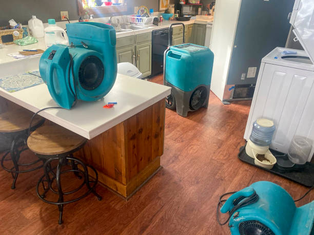 Best Water damage contractors near me  in Wayne Heights, PA