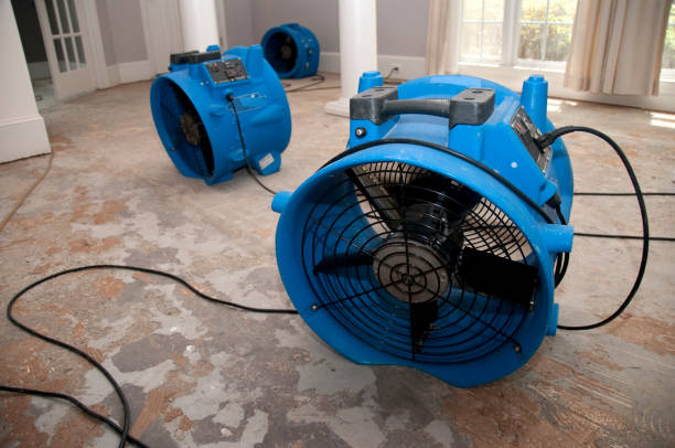 Best Residential water damage restoration  in Wayne Heights, PA