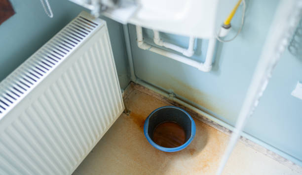 Best Professional water damage repair  in Wayne Heights, PA