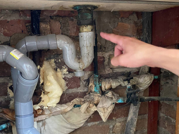 Best Flood damage cleanup  in Wayne Heights, PA