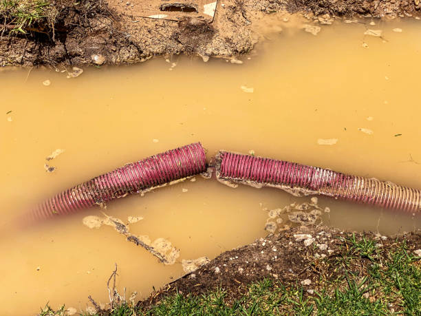 Best 24-hour water damage restoration  in Wayne Heights, PA