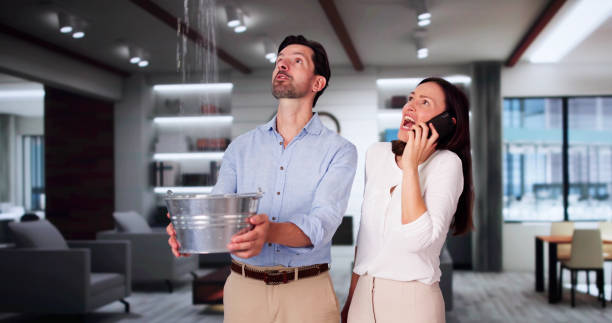 Best Carpet water damage restoration  in Wayne Heights, PA